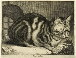 Le grand chat