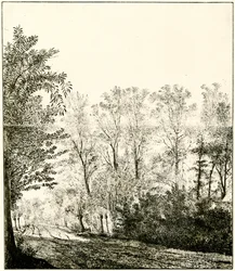 Sentier à travers une forêt