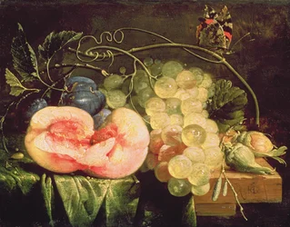 Nature morte avec fruits, XVIIe siècle