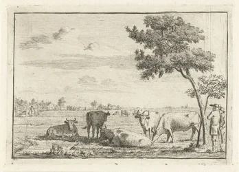 Cinq vaches dans un pré