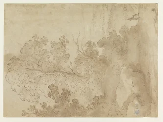 Paysage vallonné avec arbres