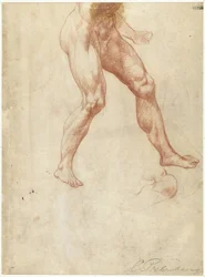 Étude du bas du corps d