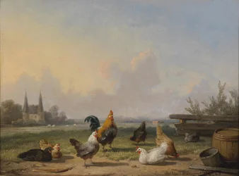 Poules devant un paysage vaste