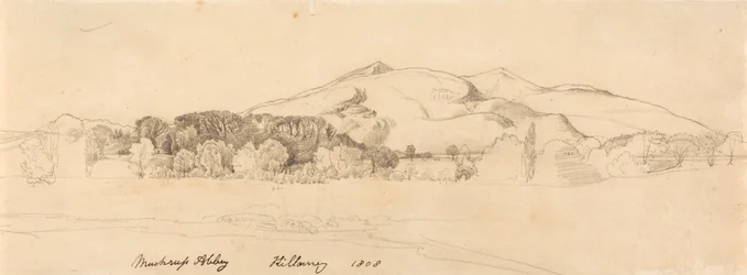 Abbaye de Muckross, Killarney