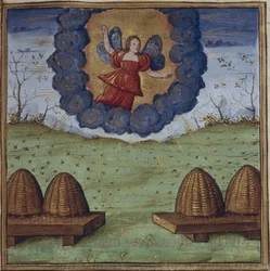 Illustration pour les Géorgiques de Virgile, 1450-1499