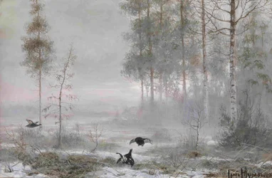 Matin dans la forêt