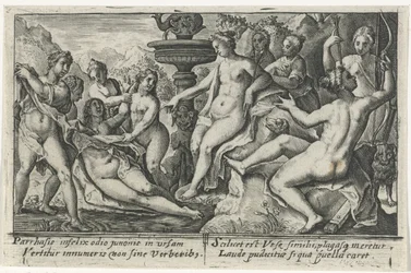Diane et Callisto (Métamorphoses d