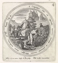 Noé plante une vigne (Histoire de Noé)