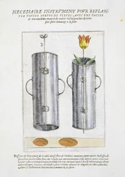 Dispositif pour replanter des fleurs, de 