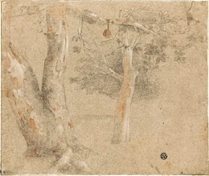 Croquis d