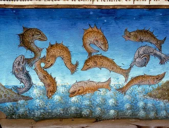 La fin du monde : les poissons flotteront en surface (c.147r). 1476