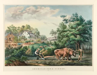 Scènes de ferme américaine./ No. 1