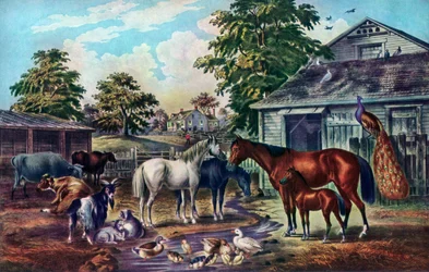 Cour de ferme américaine le matin, 1857