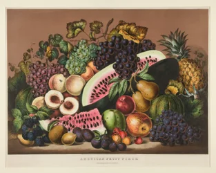 Pièce de fruits américains; Planche CCLXXXI