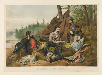 Camping dans les bois
