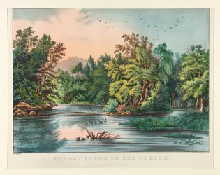 Scène de Forêt sur le Lehigh