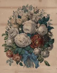 Roses et boutons de rose
