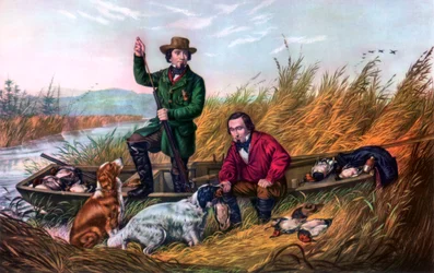 Chasse au canard sauvage, 1854