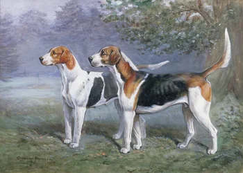 Une chienne et un chien de chasse dans un paysage