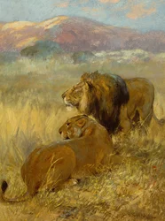 Un lion et une lionne protégeant leur territoire (huile sur carton)