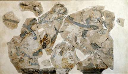 Art cycladique : fragment de fresque représentant des poissons volants (hirondelles de mer). du site de Phylakopi (île de Melos) 2500 av. J.-C. Dim. 23 cm Athènes, musée archéologique national