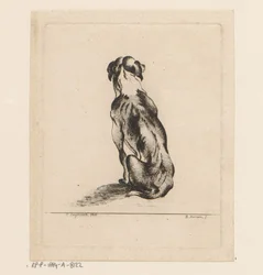 Chien assis vu de dos