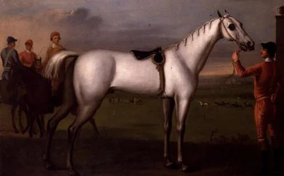 Palefrenier tenant un cheval de course gris