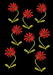 Marguerites répétant un fond noir