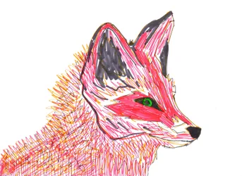 Renard (feutre sur papier)
