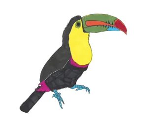 Toucan, 2024 (stylo sur papier avec photoshop)
