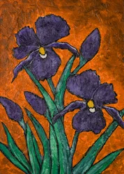 Des iris d