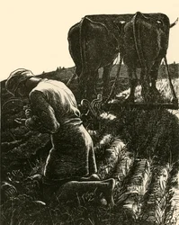 Le Trésor caché, 1864