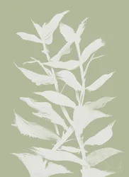 Herbe