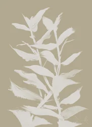 Herbe
