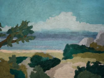Vue sur la falaise