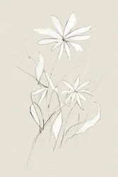 Fleur de la ferme