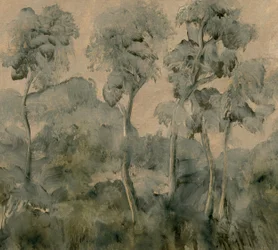 La forêt oubliée