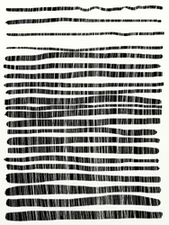 Lignes