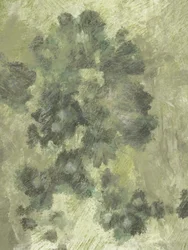 Fleurs brumeuses 2