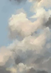 Skys