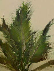 Touches de verdure