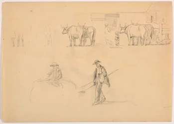 Dessin, basse-cour ; figures et bœufs, 1878