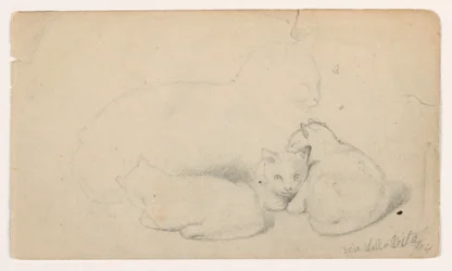 Dessin, chat et trois chatons ; verso : homme arabe assis recevant un homme, probablement d