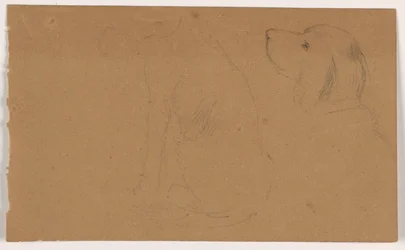 Dessin, Dash (un Setter), tête et corps, vers 1862
