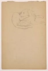 Dessin, Dash (un Setter), vers 1862