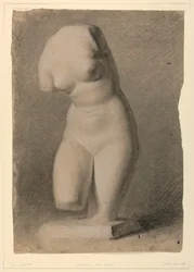 Dessin, torse féminin d