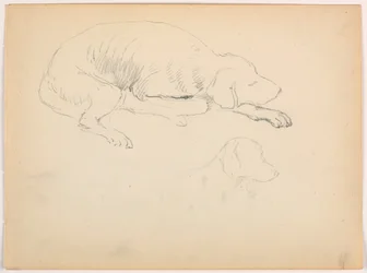 Dessin, Milo (un chien d