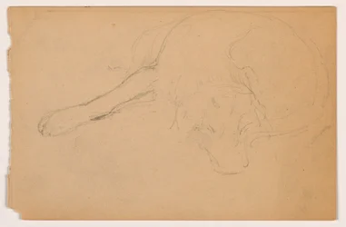 Dessin, Miol (un chien d