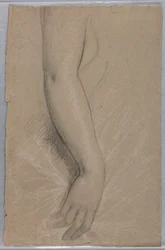 Dessin, Mme Rutherford B Hayes, 1880