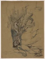 Chute de Reichenbach